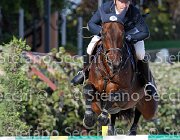 Paini Rosa Cocktail GioCav2013 S6 7685 : Campionati Italiani Giovani Cavalli, Cattolica, Paini Paolo, Rosa Cocktail, ph Stefano Secchi ©